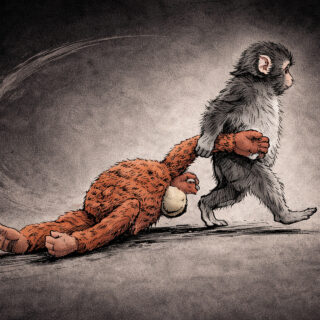 Punch: Ο πίθηκος που έγινε προϊόν στο καλάθι