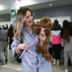 Επέστρεψαν οι Έλληνες πολίτες με τα κατοικίδιά τους από το Αμπου Ντάμπι