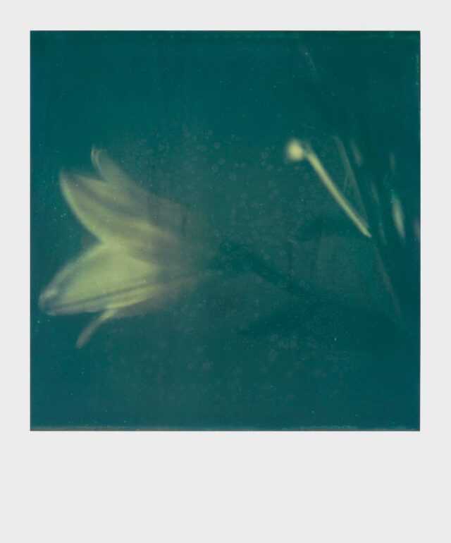 It’s Always the Sun: Εγκαίνια Έκθεσης φωτογραφίας της Ελισάβετ Μωράκη