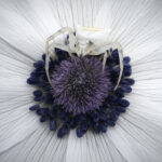 Ο Λόφος καλωσορίζει την Άνοιξη με «μικρές ιεροτελεστίες»