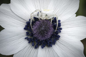 Ο Λόφος καλωσορίζει την Άνοιξη με «μικρές ιεροτελεστίες»