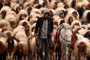 Διεθνής Αμνηστία: Το Ισραήλ διεξάγει εθνοκάθαρση σε βάρος των βεδουίνων της Δυτικής Όχθης