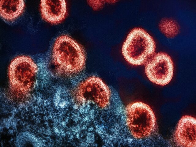 HIV: Η σπάνια ανοσολογική άμυνα που γεννά ελπίδες