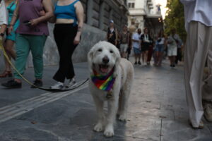Κάντε ό,τι θέλετε στο κρεβάτι σας, αλλά…