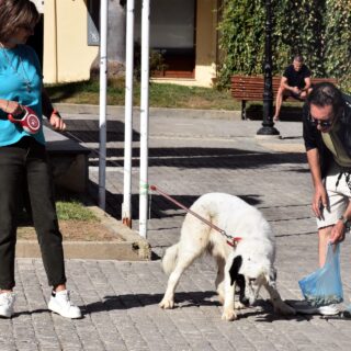 Πώς θα καταλάβεις ότι το κατοικίδιό σου υποφέρει από τον καύσωνα – Τα 8 σημάδια