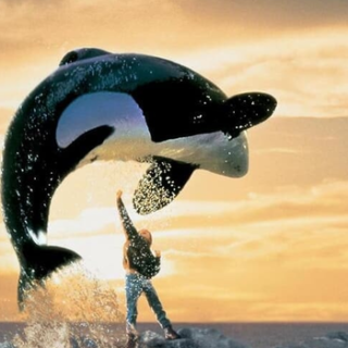 Το αγαπημένο Free Willy των ’90s επιστρέφει με reboot