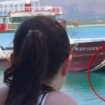 Επιβατηγό πλοίο προσέγγισε την Ελαφόνησο με ανοιχτό καταπέλτη και έκανε ελιγμούς – Ο πλοιοκτήτης επιβιβάστηκε κολυμπώντας