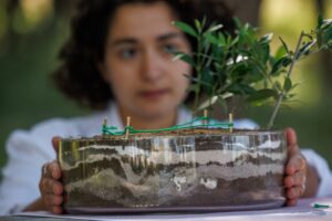 Πρόγραμμα εκδηλώσεων τρίτης εβδομάδας για το «Όλη η Ελλάδα ένας πολιτισμός»