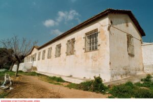 Να δουν το δάσος και όχι το δένδρο…