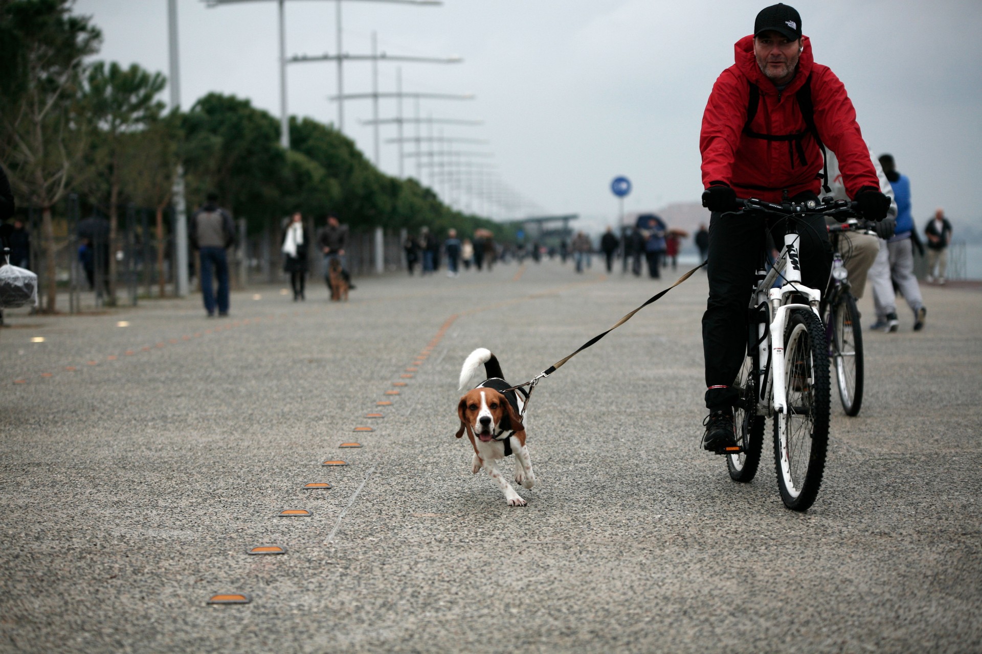 Greek; Northern Greece; Salonika; sea; seafront; Thessaloniki; waterfront; Θεσσαλονίκη; αποβάθρα; νέα παραλία; παραλία; προκυμαία