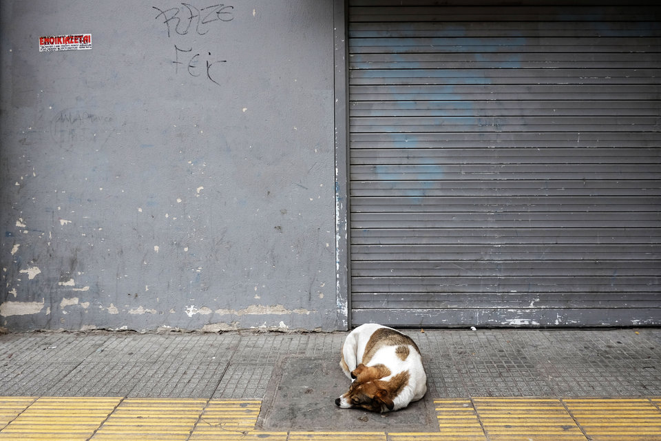 21_20140118_16_KTF5537.