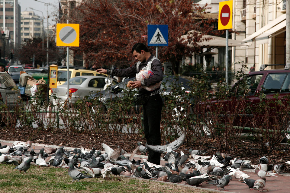 21_20140119_25_MG_5464 copy.