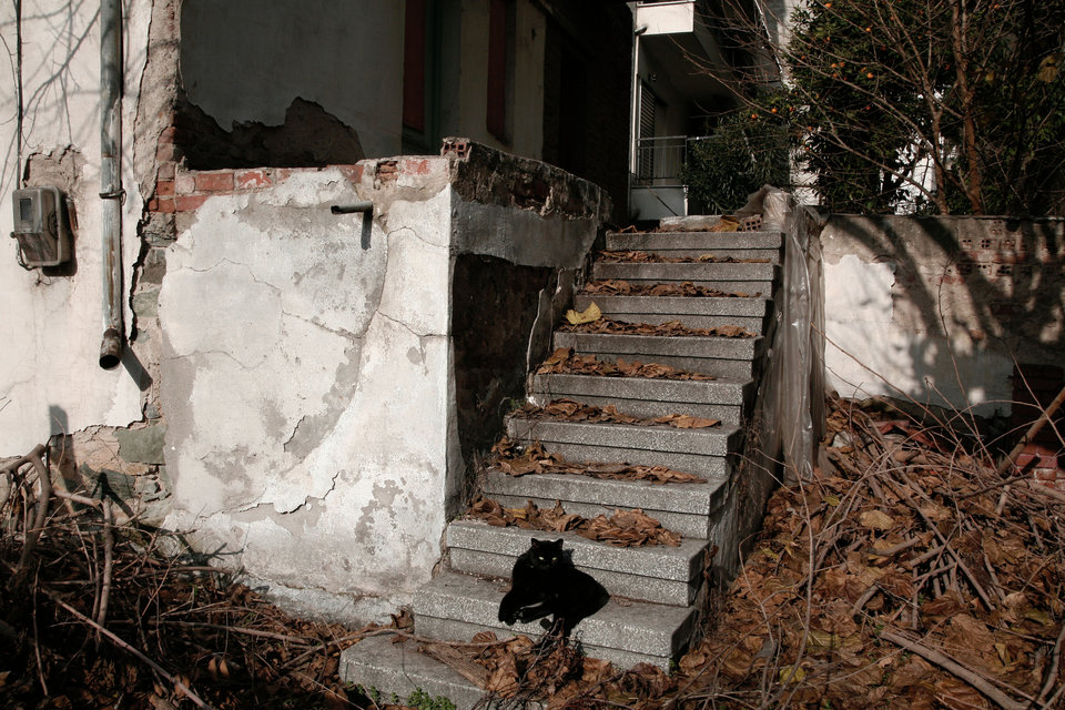 21_20140120_01_MG_5583 copy.