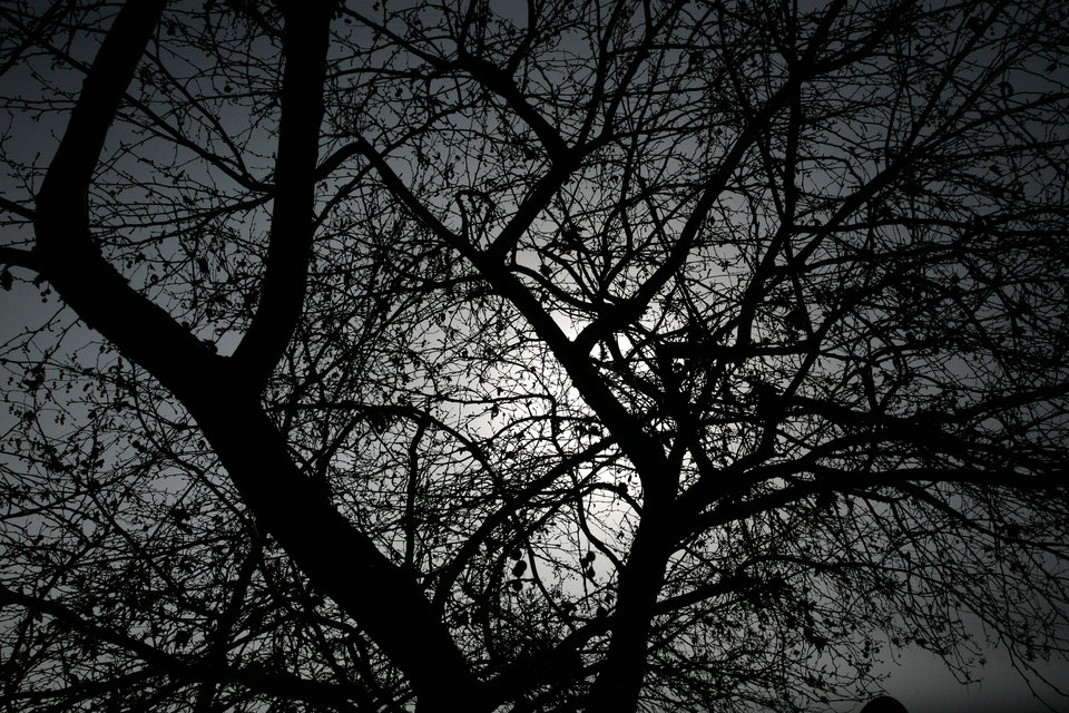 21_20140120_11_MG_5632 copy.