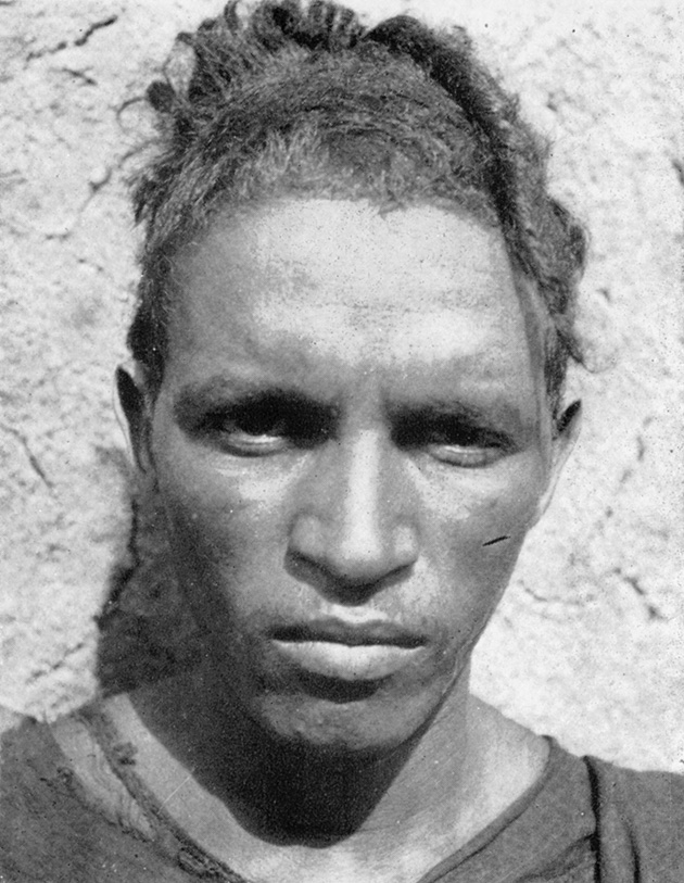 Ένας Βέρβερος από τη φυλή Dag Rali.