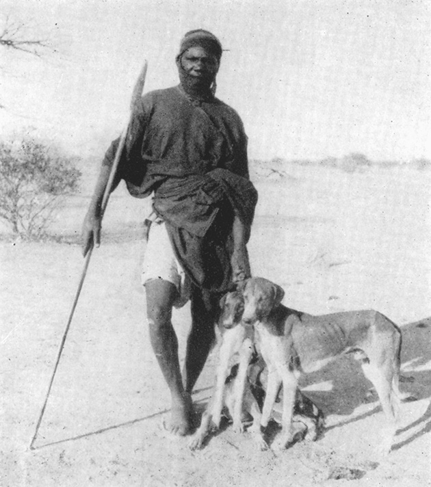 Το κυνήγι με σκυλιά είναι συνηθισμένο στους Tuareg. Χρησιμοποιούν μια βορειοαφρικάνικη ράτσα παρόμοια με το αράβικο κυνηγόσκυλο, που λέγεται Sloughi. Εδώ ένας κυνηγός ετοιμάζεται να ψάξει για αγρινά, παρέα με δύο σκυλιά.