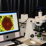 Σε Αμερική και Γερμανία το Νόμπελ Χημείας