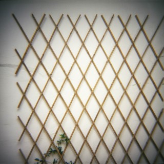 Το νησί μας είναι γιομάτο απαρηγόρητους θορύβους. (Seamus Heaney)