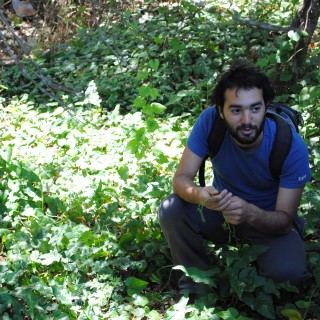 Ο Σωτήρης Λυμπερόπουλος συλλέγει άγρια τροφή και τροφοδοτεί τα καλύτερα εστιατόρια της Αθήνας