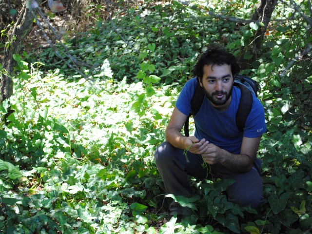 Ο Σωτήρης Λυμπερόπουλος συλλέγει άγρια τροφή και τροφοδοτεί τα καλύτερα εστιατόρια της Αθήνας