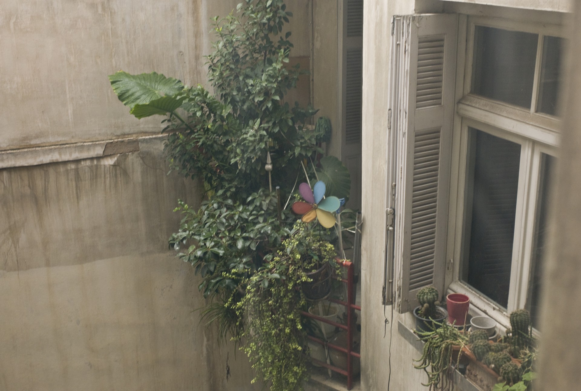 μπλε πολυκατοικία 21