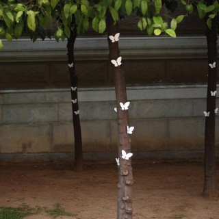 Το κέντρο της Αθήνας γέμισε λευκές πεταλούδες