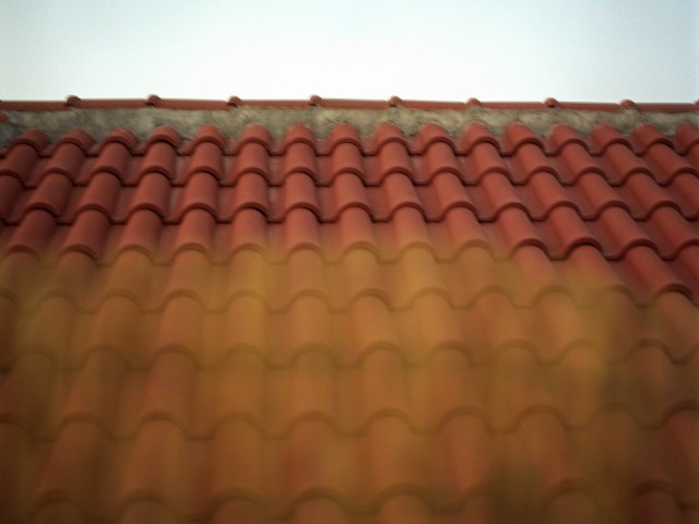 «Ο λύκος και τα κατσικάκια», ένα ποίημα της Κικής Δημουλά