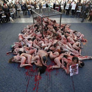 Μια γυμνή “αιματηρή” διαμαρτυρία στη Βαρκελώνη (video)