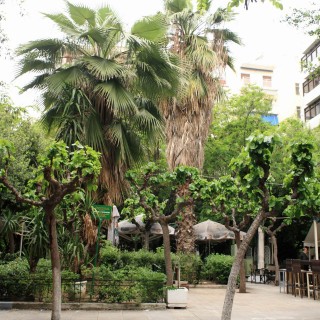 Η Πλατεία Προσκόπων αλλιώς