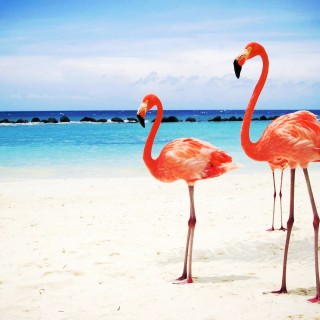 Η Αναστασία Καμβύση υποστήριζε χθες την Αφρική