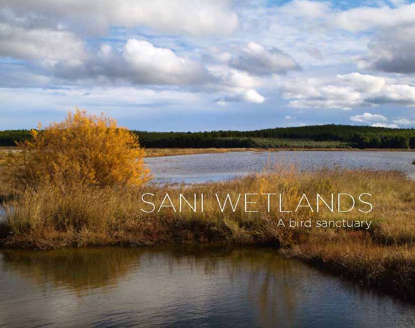 Sani-resort-hotel-wetlands-Sani_beach-Chalkidiki-birdwatching