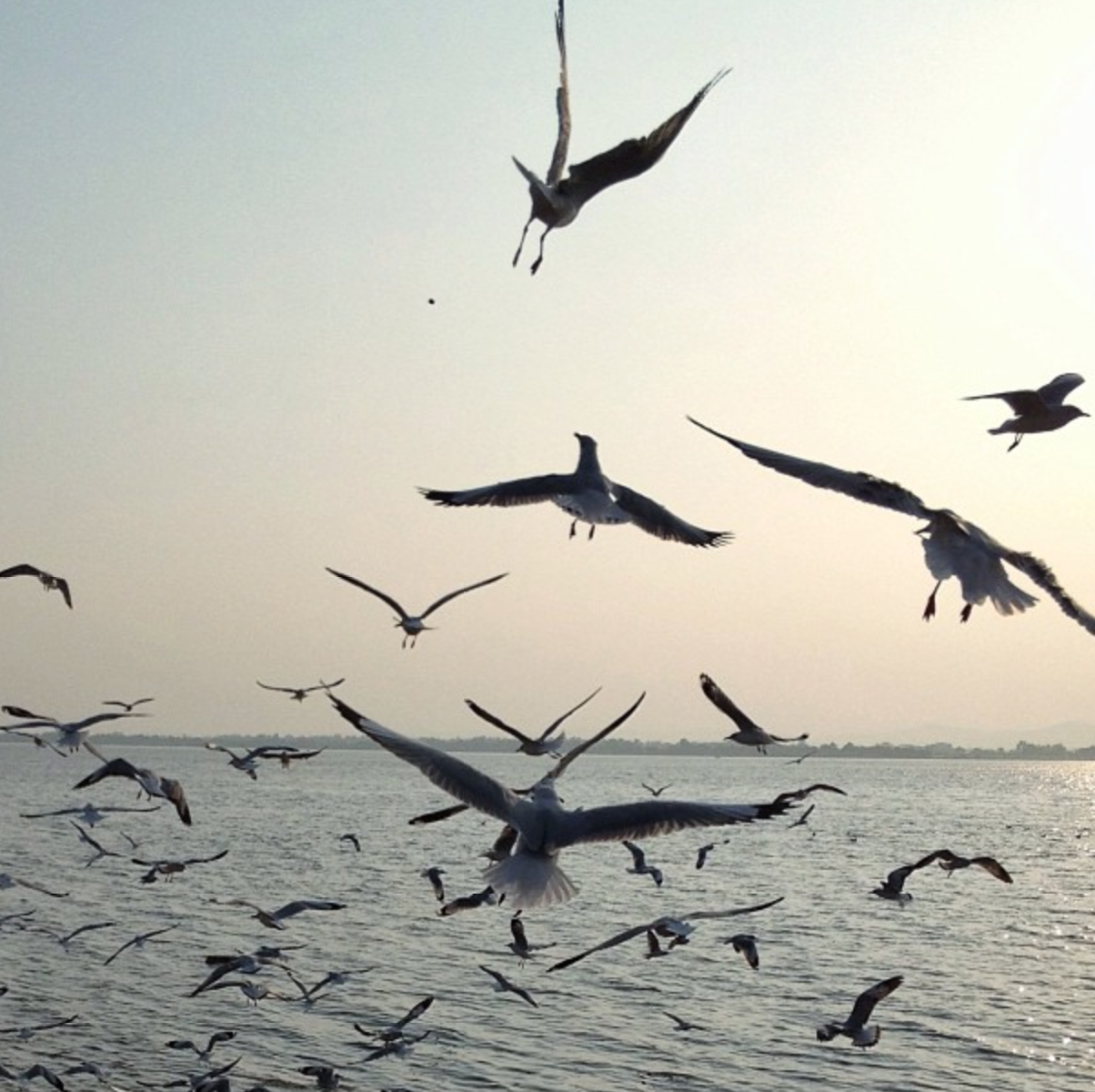 Screen Shot 2013-10-30 at 2.18.26 μ.μ.