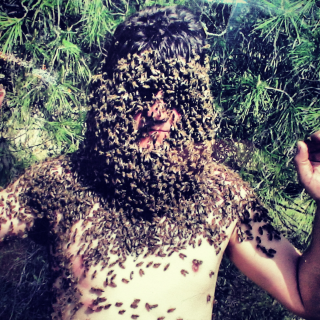 Μελοπωλείο