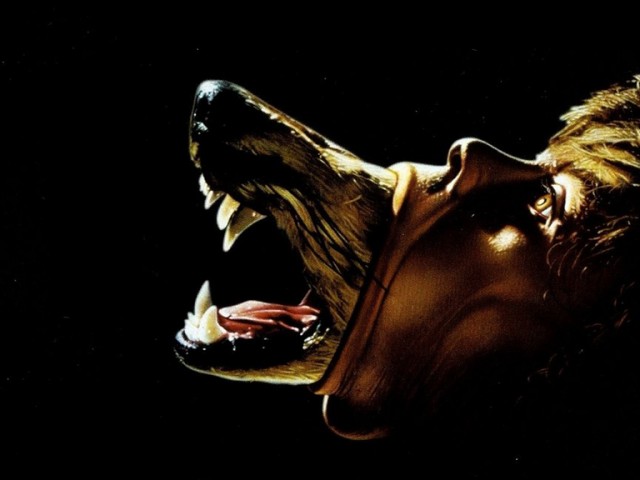 Λόγω Τιμής, Λόγω Κραυγής, Λόγω Τέχνης