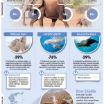 Τα μισά άγρια ζώα του πλανήτη εξαφανίστηκαν μέσα σε 40 χρόνια