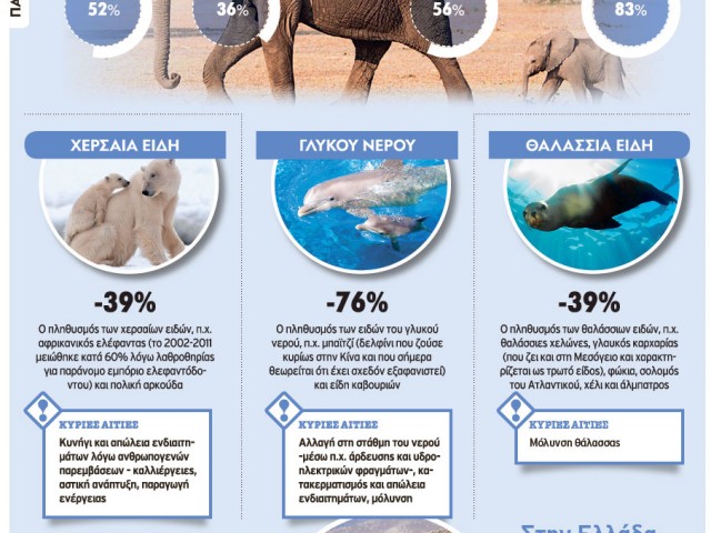 Τα μισά άγρια ζώα του πλανήτη εξαφανίστηκαν μέσα σε 40 χρόνια