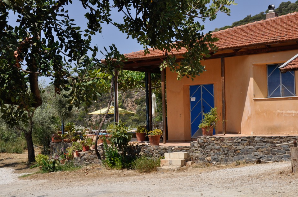 houses made by clash and wood in crete