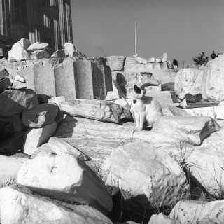 Ψήγματα λογοτεχνίας και θεωρίας