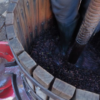 ο αντώνης, η στροφιλιά και το λάδι