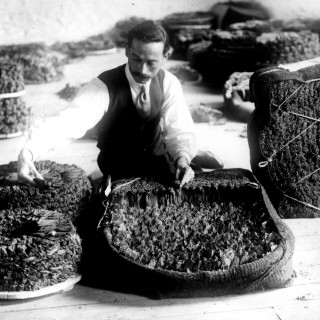 Έκθεση «ΚΑΠΝΟΣ | TOBACCΟ 101 σημειώσεις για τα ανατολικά καπνά|101notes on oriental tobacco» στο Μουσείο Μπενάκη