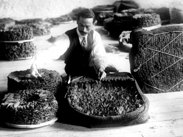 Έκθεση «ΚΑΠΝΟΣ | TOBACCΟ 101 σημειώσεις για τα ανατολικά καπνά|101notes on oriental tobacco» στο Μουσείο Μπενάκη