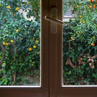 Η Αθήνα μέσα από τα μάτια των Αθηναίων