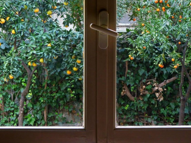 Η Αθήνα μέσα από τα μάτια των Αθηναίων