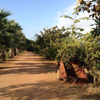 Διακοπές στο Μήτσιγκαν