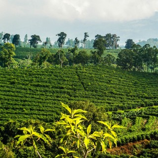 Κόστα Ρίκα: Η «Ελβετία» της Κεντρικής Αμερικής με το υψηλό μορφωτικό επίπεδο