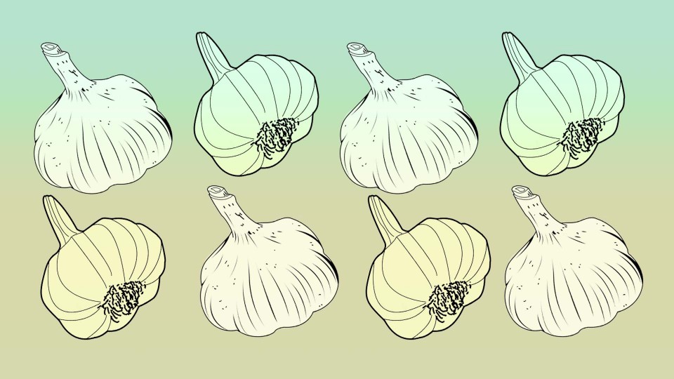 pop_garlic_2