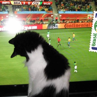 Μουντιάλ 2014: Θέλω Να Τα Ξέρω Όλα