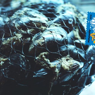 5 διαφορετικοί τρόποι για να πιεις τσίπουρο στην Αθήνα την Πρωτομαγιά