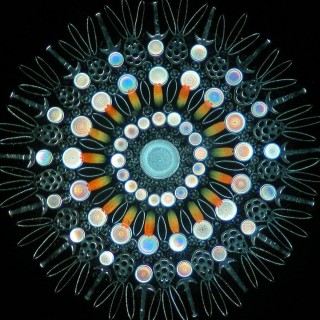 Η τέχνη της φύσης