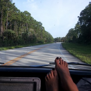 United States of Stella